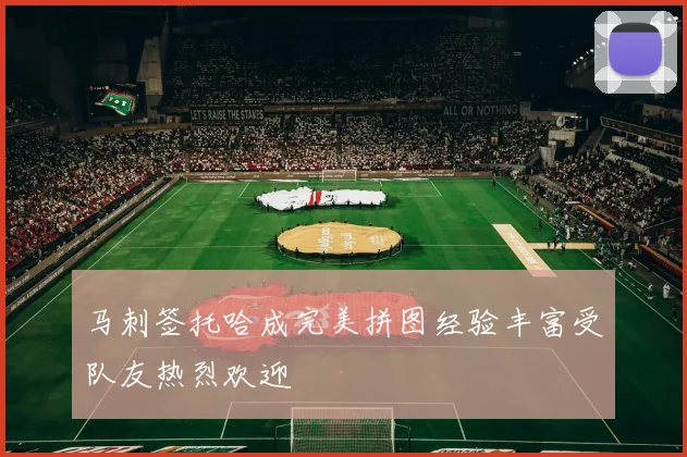 马刺签托哈成完美拼图经验丰富受队友热烈欢迎