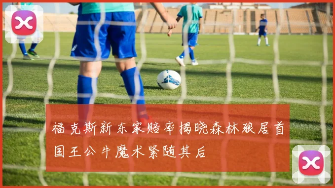 福克斯新东家赔率揭晓森林狼居首国王公牛魔术紧随其后